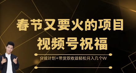 揭秘春节视频号祝福项目：分成计划与带货双收益，轻松月入数万-小伟资源网