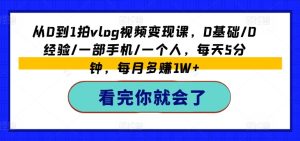 《0基础Vlog变现课：一部手机，每天5分钟，月入1W+》-小伟资源网