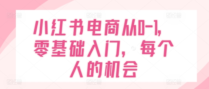 小红书电商零基础入门指南：从0到1的全面攻略，抓住每个人的机会-小伟资源网
