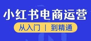 小红书电商运营全攻略：从入门到精通，掌握赚钱新风口-小伟资源网