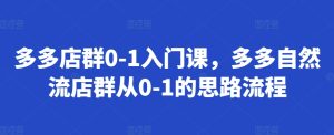 《从零开始：多多店群自然流量增长全攻略》-小伟资源网
