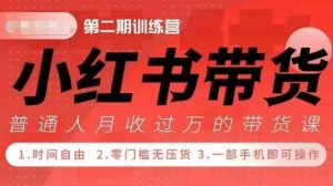 小Red书42天带货训练营2.0：宝妈、自由职业者、上班族、大学生副业增收红利项目-小伟资源网