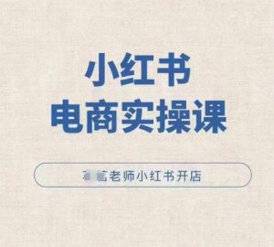 小红书电商开店实操指南：从零到精通的必备课程-小伟资源网