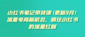 小红书笔记带货课：2025年1月更新，揭秘流量电商新机遇与红利-小伟资源网