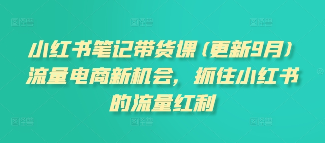 小红书笔记带货课：2025年1月更新，揭秘流量电商新机遇与红利-小伟资源网