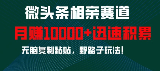 微头条相亲赛道：无脑复制粘贴野路子，月入1w快速积累秘籍-小伟资源网