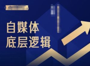 2024自媒体入门指南:小白必学的底层逻辑与实战技巧-小伟资源网
