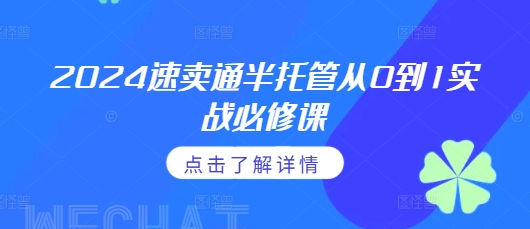 2024速卖通半托管实战指南：从0到1掌握通投广告与政策细节-小伟资源网