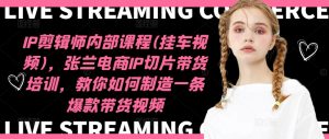 张兰电商IP切片带货培训:打造爆款视频的秘诀与技巧-小伟资源网