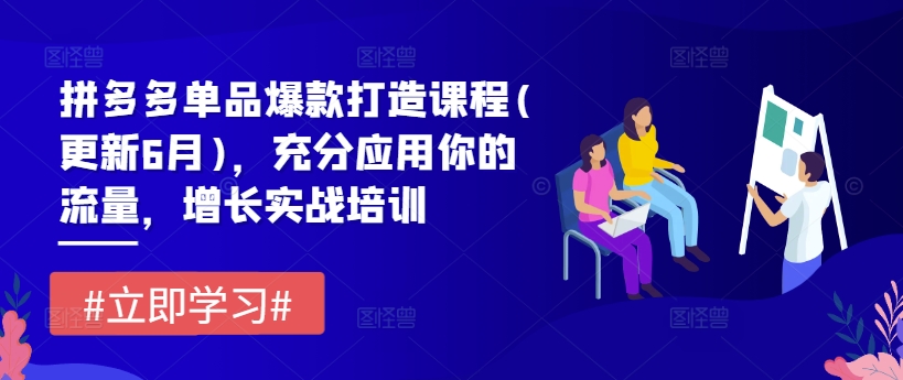拼多多爆款打造实战课程：6月更新，流量应用与增长策略全解析-小伟资源网