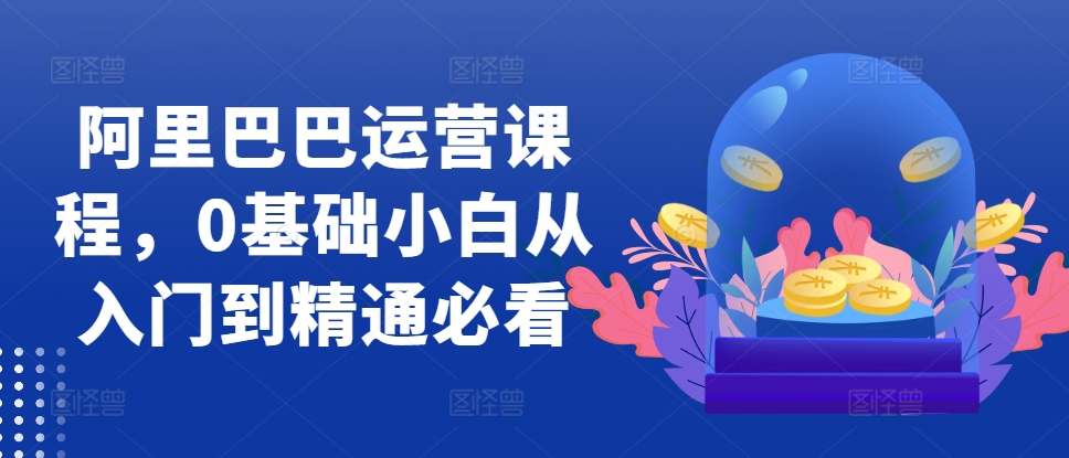 《阿里巴巴运营课程：0基础小白快速入门到精通全攻略》-小伟资源网