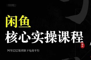 2024闲鱼实操全攻略:养号、选品、发布到销售,打造高效出单的闲鱼账号-小伟资源网