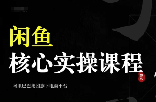 2024闲鱼实操全攻略：养号、选品、发布到销售，打造高效出单的闲鱼账号-小伟资源网