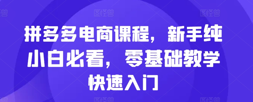 拼多多电商新手零基础快速入门课程，纯小白必看教学指南-小伟资源网