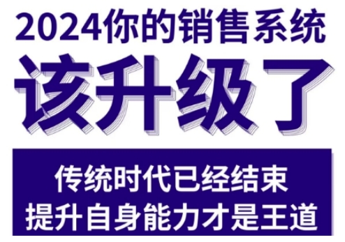 2024年销售实战课：升级你的销售系统，实现高效落地-小伟资源网