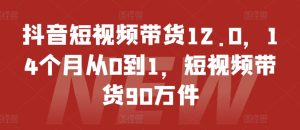14个月从0到1：抖音短视频带货12.0，90万件商品销售奇迹-小伟资源网