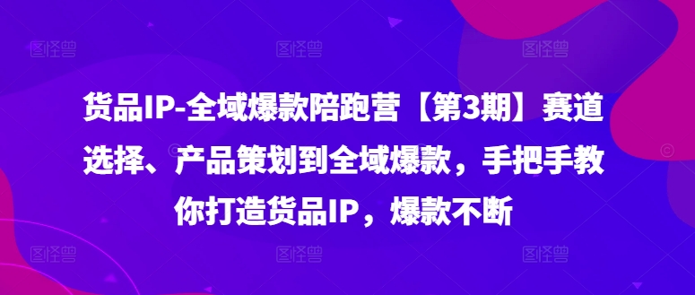 《货品IP全域爆款陪跑营第3期：从赛道选择到产品策划，手把手教你打造持续爆款》-小伟资源网
