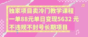 揭秘：冷门教学课程日赚5632元，88元一单，长期稳定无封号风险-小伟资源网