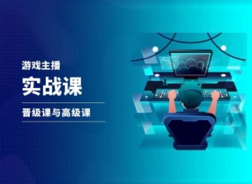 抖音游戏直播实战与晋级高级课程全攻略-小伟资源网