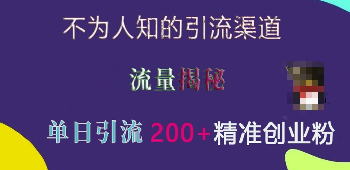 揭秘单日引流200+精准创业粉的隐藏渠道：实测效果与流量策略-小伟资源网