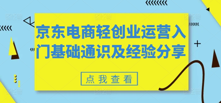 京东电商轻创业运营入门指南与实战经验分享-小伟资源网