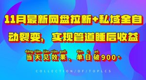 11月网盘拉新与私域裂变全自动策略，单日收益破900+，快速见效-小伟资源网