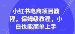 小红书电商项目入门指南:从零开始的保姆级教程,轻松上手-小伟资源网