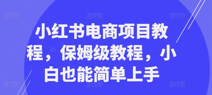 小红书电商项目入门指南：从零开始的保姆级教程，轻松上手-小伟资源网