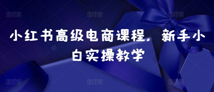 小红书电商实战指南：新手小白快速上手高级运营技巧-小伟资源网