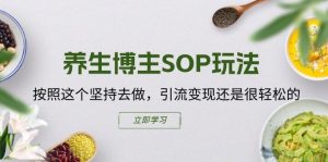 养生博主高效引流变现SOP：轻松实现粉丝增长与收入提升-小伟资源网