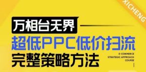 2024新版万相台无界：超低PPC扫流策略与店铺核心选款、低价盈选款方法全解析-小伟资源网