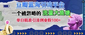 豆瓣蓝海引流：单日精准吸引100+创业粉的隐藏流量宝地-小伟资源网