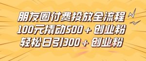 揭秘朋友圈高效付费投放：100元撬动500+创业粉，日引流300精准粉丝全流程-小伟资源网
