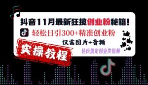 抖音11月创业粉引流秘籍：图片+音频轻松日引300+精准粉丝-小伟资源网