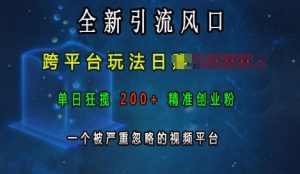 跨平台视频引流新策略：日入千元，精准创业粉200+，揭秘被忽视的流量金矿-小伟资源网