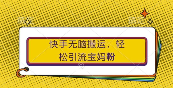 揭秘：快手宝妈粉引流秘籍，小白也能轻松上手的无脑搬运技巧-小伟资源网