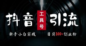 2024抖音工具号引流秘籍：日引300+创业粉，当天变现5k，小白速成实战高手-小伟资源网