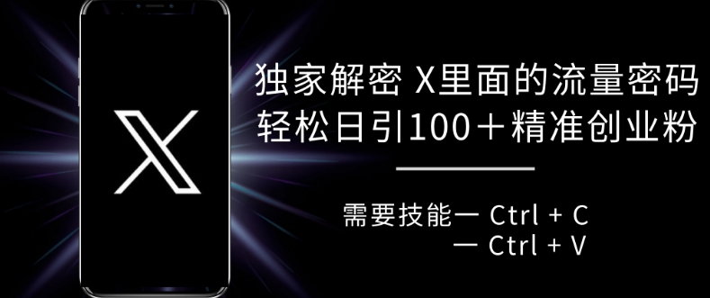 揭秘X平台流量密码：轻松日引100+的复制粘贴技巧-小伟资源网