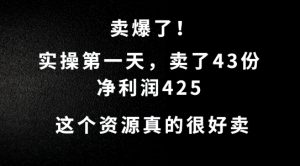 揭秘:首日销售43份,净利润425元,这个资源需求巨大!-小伟资源网