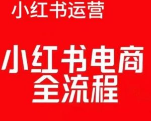 小红书电商实战指南:从零到精通的红薯电商全流程操作教程-小伟资源网