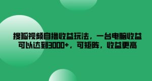 揭秘搜狐视频自撸收益玩法：单台电脑月入3k+，矩阵操作收益倍增-小伟资源网