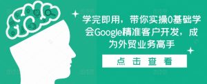 0基础实操:Google精准客户开发,快速成为外贸业务高手-小伟资源网