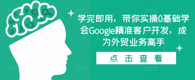 0基础实操：Google精准客户开发，快速成为外贸业务高手-小伟资源网
