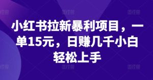 揭秘小红书拉新暴利项目：一单15元，日赚几千，小白也能轻松上手-小伟资源网