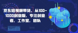 京东短视频带货:100-1000元创业版,助力创业者、工作室及团队快速成长-小伟资源网