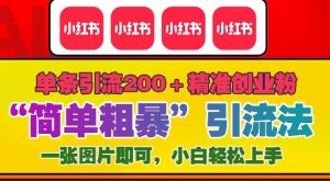 12月底小红书高效引流技巧:单条内容吸引200+精准创业粉丝-小伟资源网