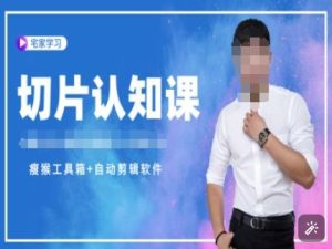 直播切片教程:认知课+资料包+授权,一站式掌握切片技巧-小伟资源网