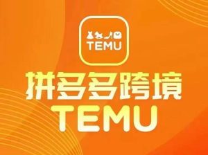 拼多多跨境开店运营全攻略：最新TEMU教程与选品技巧-小伟资源网