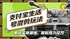 支付宝生活号军事赛道混剪实操指南：原创视频教程，懒人必备【揭秘】-小伟资源网