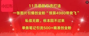 小红书11月爆款图片引流秘籍：4980预算单条吸引500+精准创业粉-小伟资源网